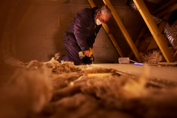 Best Insulation Contractor Near Me  in Myrtle Point, OR